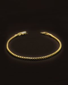 PULSEIRA VENEZIANA